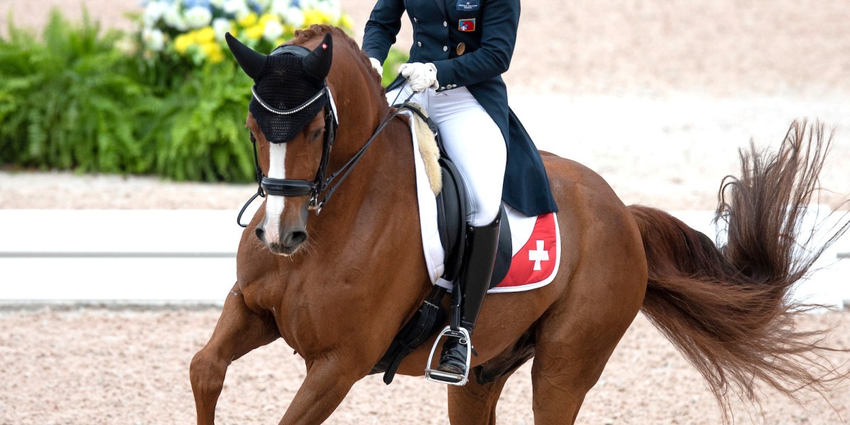 Stage de dressage avec Antonella Joannou de Rahm