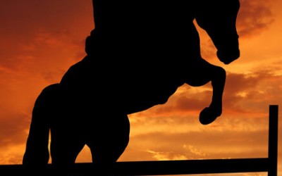 Stage coaching mental et saut avec Philippe Linget